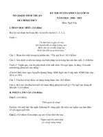 Đề thi vào lớp 10 môn Ngữ văn năm 2020-2021 có đáp án - Sở GD&ĐT Bình Thuận