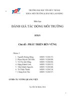Báo cáo đánh giá tác động môi trường: Phát triển bền vững (nhóm 3)