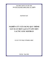 Nghiên cứu xây dựng quy trình sản xuất bột gạo lứt lên men lactic giàu kefiran 