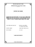 Nghiên cứu giải pháp về cấu tạo và tính toán đường dẫn vào cầu với hoạt tải h30 trên đất yếu và ngập lũ sâu ở đồng bằng sông cửu long 