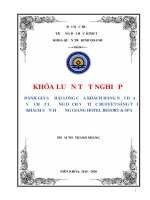 Đánh giá sự hài lòng của khách hàng nội địa đối với chất lượng dịch vụ tiệc buffet sáng tại khách sạn hương giang hotel resort  spa 