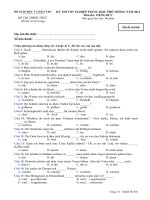 Đề thi tốt nghiệp THPT Quốc Gia môn Tiếng Đức 2010-2011 mã đề 836