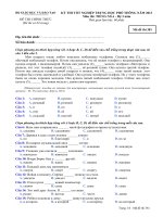 Đề thi tốt nghiệp THPT Quốc Gia môn Tiếng Nga hệ 3 năm 2012-2013 mã đề 381