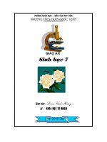 tröôøng thcs tröông ñònh phoøng giaùo duïc – ñaøo taïo tuy hoøa tröôøng thcs traàn quoác tuaán giaùo aùn sinh hoïc 7 giaùo vieân ñaøm vónh höng toå khoa hoïc töï nhieân p