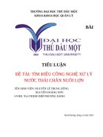 TÌM HIỂU CÔNG NGHỆ XỬ LÝ NƯỚC THẢI CHĂN NUÔI LỢN