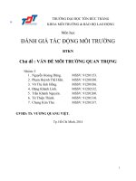 Báo cáo đánh giá tác động môi trường: Vấn đề môi trường quan trọng (nhóm 3)