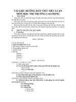 Tài liệu hướng dẫn viết tiểu luận môn học Thị trường lao động