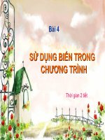 su dung bien trong chuong trinh bài 4 thời gian 2 tiết sử dụng biến trong chương trình trong ngôn ngữ lập trình pascal hãy cho biết phần khai báo của chương trình gồm những khai báo nào phần khai