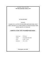 Khóa luận tốt nghiệp nghiên cứu các yếu tố ảnh hưởng đến khả năng tách chiết tinh dầu từ lá trầu không và đánh giá hoạt tính kháng khuẩn của tinh dầu 