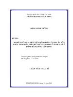 Nghiên cứu giải pháp nền móng hợp lý cho các bồn chứa xăng dầu trên đất yếu ven sông ở tp HCM và ở ĐBSCL 