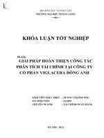 Khóa luận tốt nghiệp giải pháp hoàn thiện công tác phân tích tài chính tại công ty cổ phần viglacera đông anh 