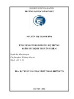 Tóm tắt Luận văn Thạc sĩ Hệ thống thông tin: Ứng dụng Webgis trong hệ thống giám sát bệnh truyền nhiễm