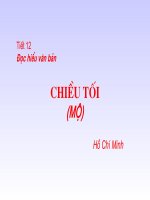 CHIEU TOI HO CHI MINH
