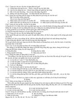 Kiem tra van 8 co daapan