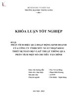 Khóa luận tốt nghiệp phân tích hiệu quả hoạt động kinh doanh của công ty TNHH MTV xuất nhập khẩu thiết bị toàn bộ và kỹ thuật technoimport thông qua phân tích một số chỉ tiêu tài chính 