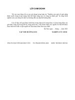 Nghiên cứu một số giải pháp định tuyến trong tô pô mạng liên kết hiệu năng cao và công cụ đánh giá