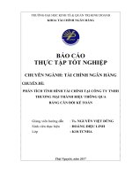 Báo cáo thực tập tốt nghiệp phân tích tình hình tài chính tại công ty TNHH thương mại thành hiệu thông qua bảng cân đối kế toán 