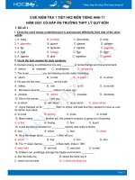 Bộ 5 đề kiểm tra 1 tiết HK2 môn Tiếng Anh lớp 11 năm 2021 Trường THPT Lê Quý Đôn