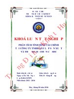 Khóa luận tốt nghiệp phân tích tình hình tài chính tại công ty TNHH XL SX  TM điện cơ SDC 