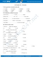 Đề thi học kỳ 2 tự luyện lớp 6 môn tiếng Anh năm 2017