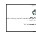 KHÓA LUẬN tốt NGHIỆP dược học FULL (DL và DLS) khảo sát cơ chế chống ngưng tập tiểu cầu với chất kích tập ADP của phân đoạn dịch chiết cây dong riềng đỏ 