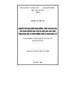 Tóm tắt luận án Tiến sĩ Y học: Nghiên cứu đặc điểm dinh dưỡng, thừa cân - béo phì, rối loạn chuyển hoá Lipid và hiệu quả can thiệp bằng viên dầu cá dinh dưỡng trên Sĩ quan đơn vị