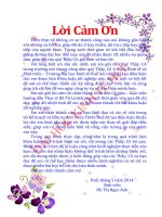 Khóa luận tốt nghiệp: Thực trạng và giải pháp thu hút vốn đầu tư trực tiếp nước ngoài vào các khu công nghiệp của tỉnh Thừa Thiên Huế