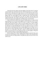 Đề tài phân tích công cụ tài chính công ty dược imexpharm 