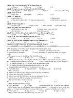 Trac nghiem on thi tin hoc 10 can nam