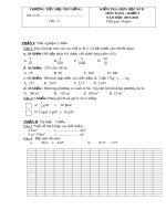 Đề thi giữa học kì 2 môn Toán lớp 5 năm 2019-2020 - Trường Tiểu học Phù Đổng