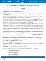 Bộ 3 đề ôn tập năm 2020 môn Ngữ Văn 9 - Trường THCS Phong Thuỷ