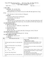 GIAO AN GIAI TICH 11BCBCa namHay