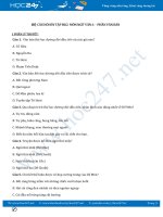 Bộ câu hỏi ôn tập HK2 môn Ngữ Văn 6 - Phần văn bản