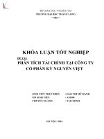 Khóa luận tốt nghiệp: Phân tích tài chính tại Công ty Cổ phần Kỷ nguyên Việt