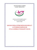 KHÓA LUẬN tốt NGHIỆP dược học FULL (DL và DLS) khảo sát hoạt tính chống oxy hóa của cây hồ đằng rễ mành 