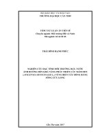 Tóm tắt Luận văn tiến sĩ Kỹ thuật: Nghiên cứu đặc tính môi trường đất, nước ảnh hưởng đến khả năng phát triển cây Mấm đen (Avicennia officinalis L.) vùng biển Tây Đồng bằng sông Cửu Long
