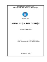 Khóa luận tốt nghiệp ngành marketing giải pháp marketing nhằm mở rộng thị trường tại TTKD VNPT vinaphone hải phòng 