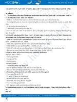 Đề cương ôn tập giữa HK1 môn Lịch sử 7 năm 2020 Trường THCS Khánh Bình