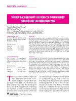 Tổ chức đại diện người lao động tại doanh nghiệp theo Bộ luật Lao động năm 2019