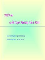 cau tao trong cua tho