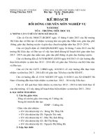 Kế hoạch bồi dưỡng chuyên môn lớp 1