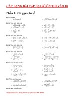 Các dạng bài tập Đại số ôn thi vào 10 - Toán cấp 2