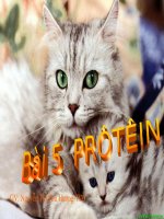 chào mừng quý thầy cô và các em học sinh gv nguyễn thị thu hương td3 kiểm tra bài cũ bốn nguyên tố chính cấu tạo nên chất sống là c h o p c n ho c n h s c o p s 2 các phân tử chủ yếu cấu t