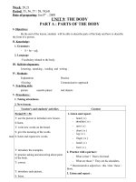 week 8 week 2021 period 55 56 57 58 5960 date of preparing jan 8th 2009 unit 9 the body part a parts of the body i objectives by the end of the lesson students will be able to describe parts