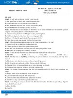 Bộ 5 đề thi giữa HK2 môn Lịch Sử 10 năm 2021 có đáp án Trường THPT An Minh