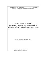 LUẬN án TIẾN sĩ dược học FULL (CND và BC) nghiên cứu bào chế viên GLICLAZID 30 mg phóng thích kéo dài với sự trợ giúp của máy tính 