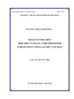 Khảo sát đột biến precore và basal core promoter ở bệnh nhân viêm gan siêu vi b mạn 
