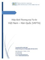 Hiệp định Thương mại Tự do Việt Nam – Hàn Quốc (VKFTA)