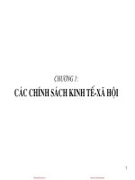 Bài giảng Phân tích chính sách kinh tế xã hội - Chương 1: Các chính sách kinh tế-xã hội