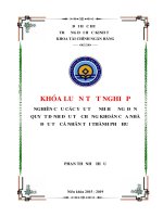 NGHIÊN cứu các yếu tố ẢNH HƯỞNG đến QUYẾT ĐỊNH đầu tư CHỨNG KHOÁN của NHÀ đầu tư cá NHÂN tại THÀNH PHỐ HUẾ 